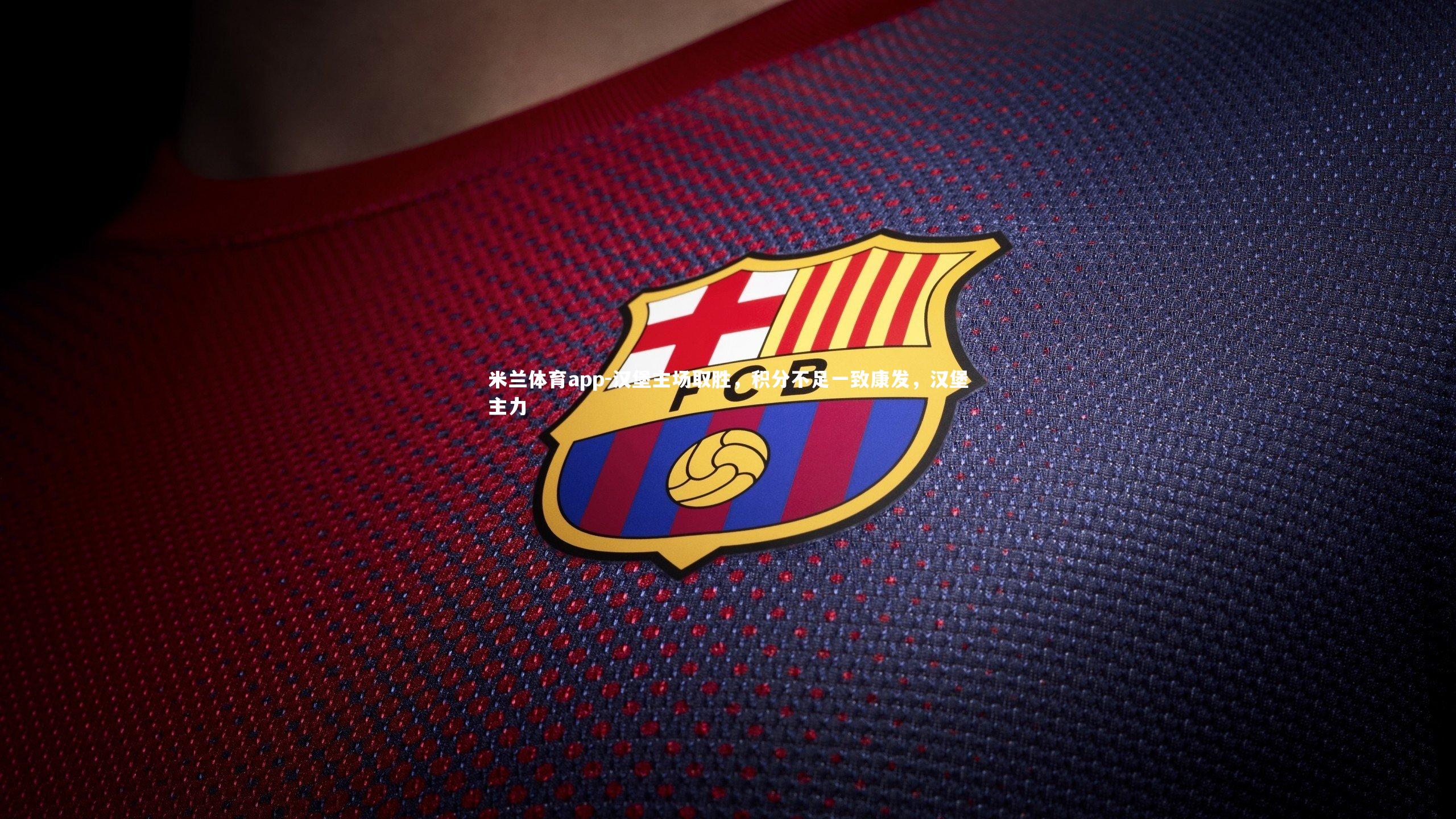 汉堡主场取胜，积分不足一致康发，汉堡主力