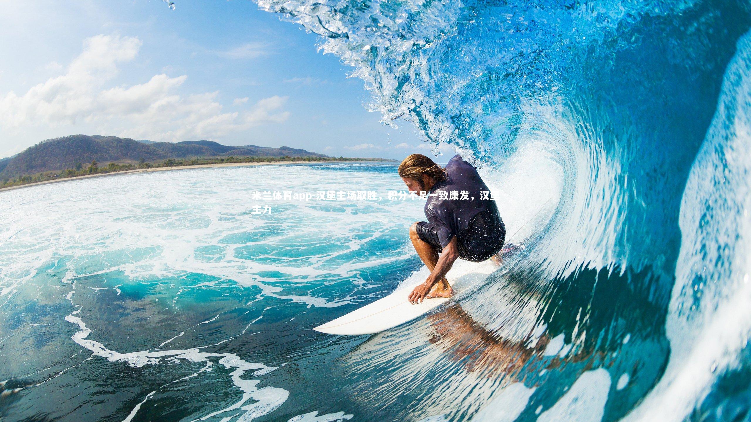 汉堡主场取胜，积分不足一致康发，汉堡主力