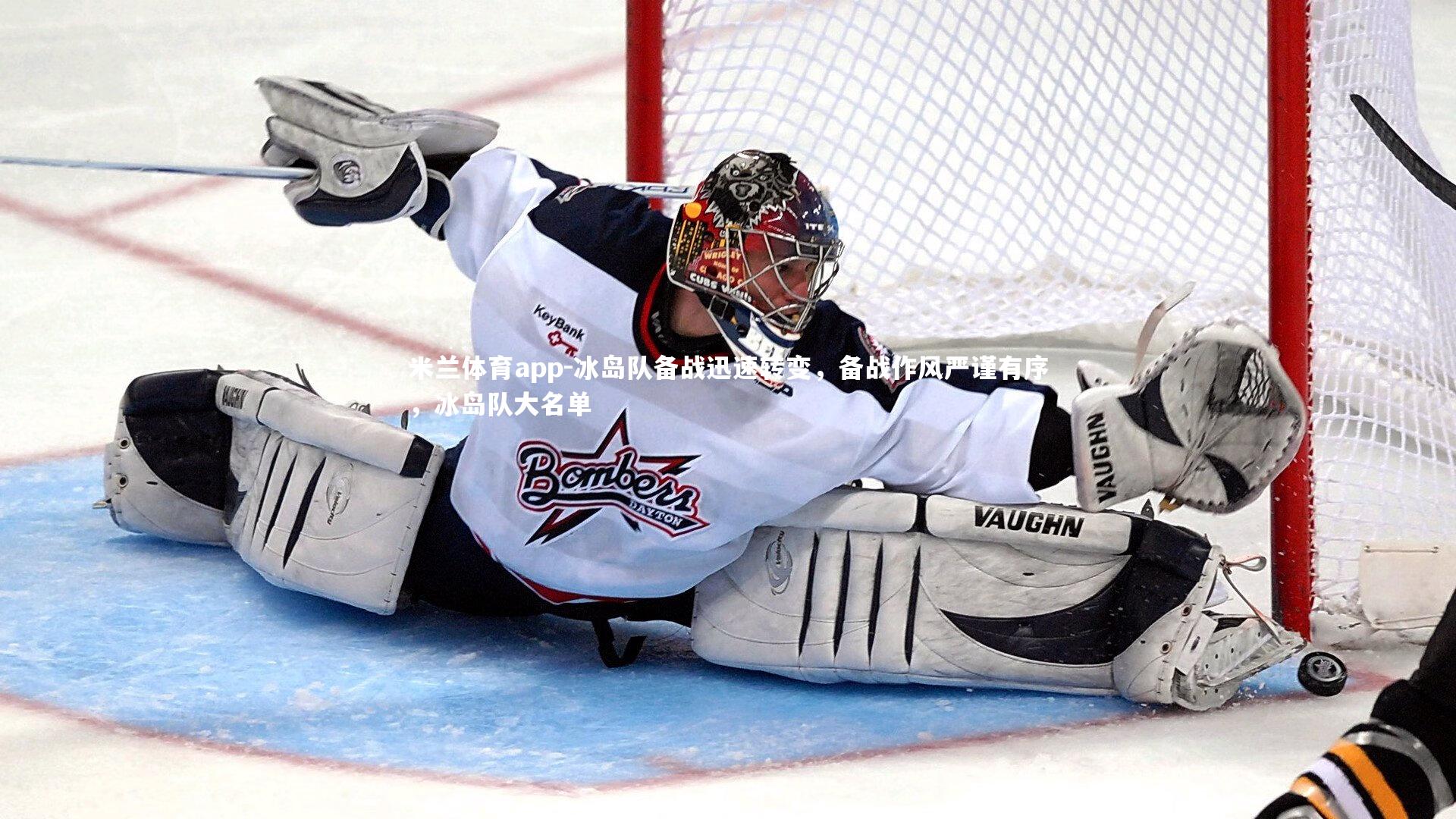 冰岛队备战迅速转变,备战作风严谨有序,冰岛队大名单